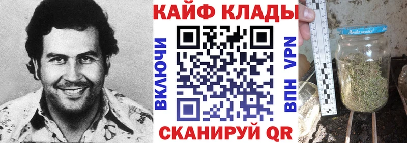 Где купить наркотики Владикавказ Кокаин  Меф мяу мяу  Alpha PVP  Галлюциногенные грибы  ГАШ 