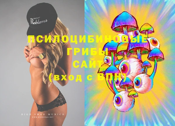 хмурый Волосово