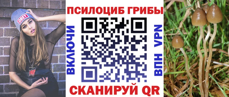 Галлюциногенные грибы ЛСД  Владикавказ 